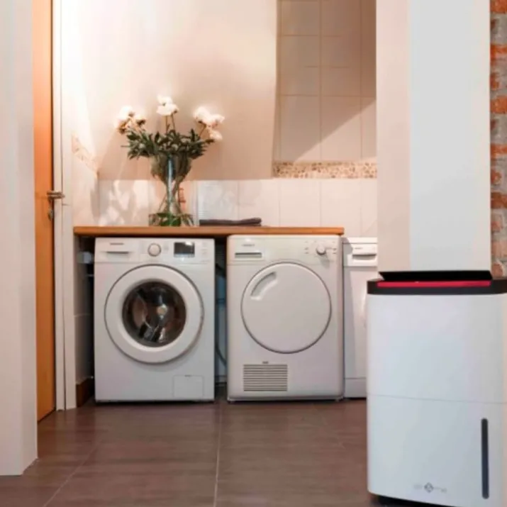 Air&Me Rohan affugter, 50 liter, appstyret, 200 m²
