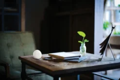 Airthings Wave Mini, måling af luftkvalitet og skimmelsvamp, hvid