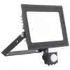 Ansell Lighting Eden projektør med sensor, 50W, 3000K