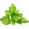 Click and Grow koriander - 3 stk