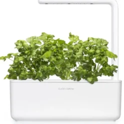 Click and Grow koriander - 3 stk