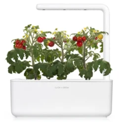Click and Grow Mini tomater - 3 stk
