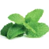Click and Grow pebermynte - 3 stk