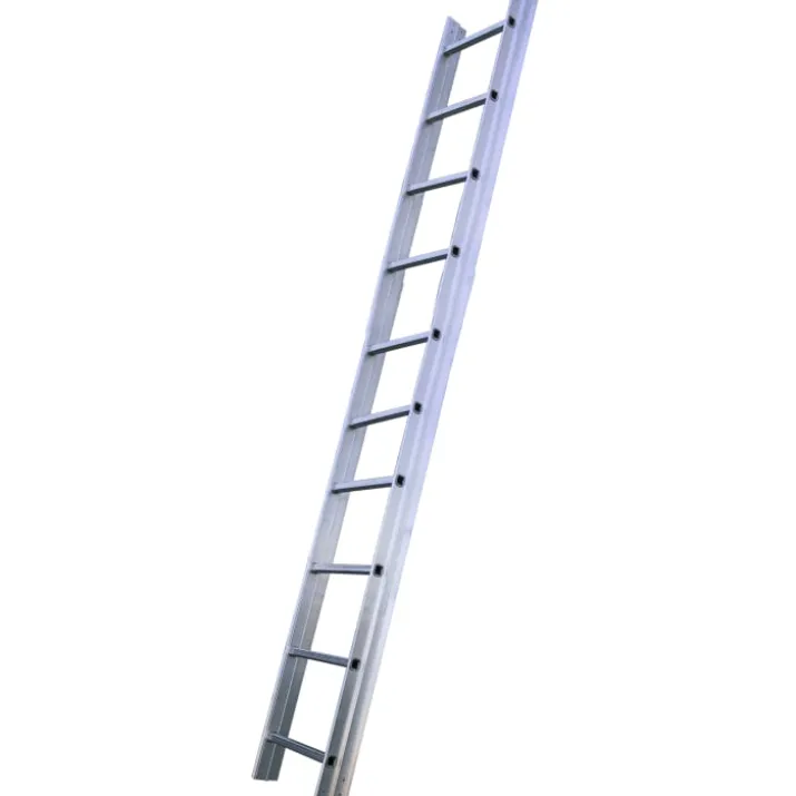 Jumbo proff tagstige 10 trin - 3 meter