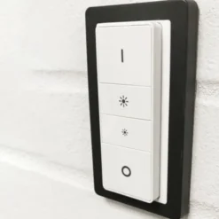 LAB3D indsats til Philips Hue V1 dimmer med LK Design ramme Base 63, koksgrå