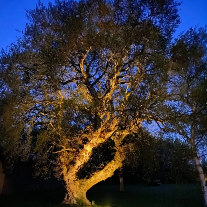 Light By Juul Chaussesten med Juulius 3 kippet spot, earl grey