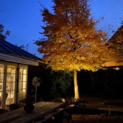 Light By Juul Chaussesten med Juulius 3 spot, earl blue