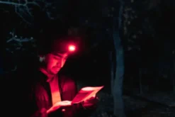 Nebo Einstein genopladelig pandelampe