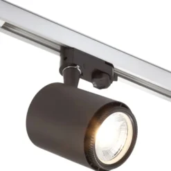 Rex 2 skinnespot 3F, sort