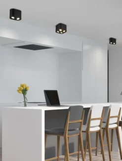 Trio Lighting Cookie påbygningsspot, 2 spots, sort