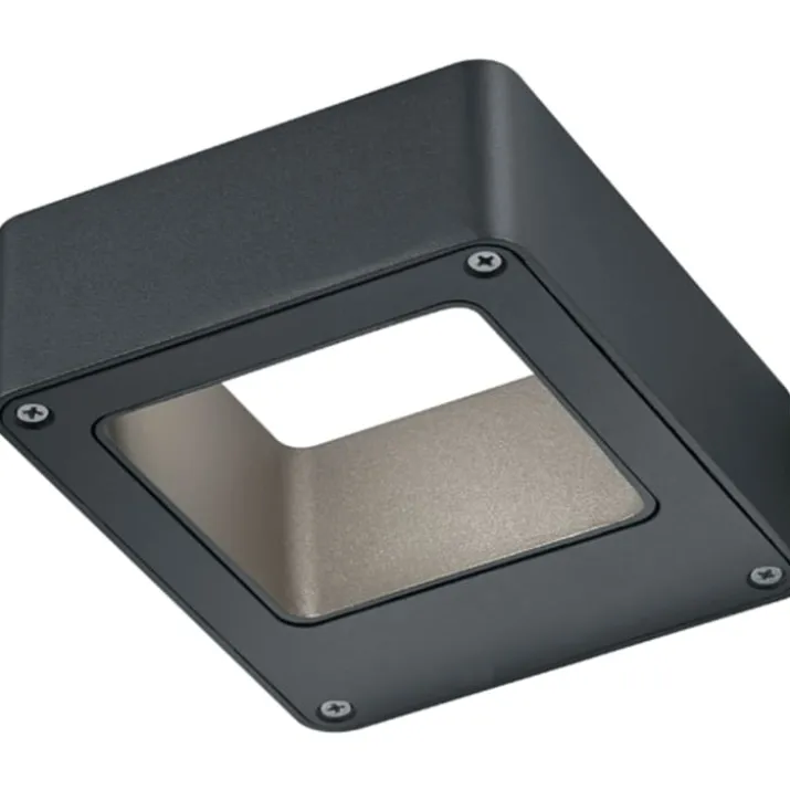 Trio Lighting Reno udendørs væglampe